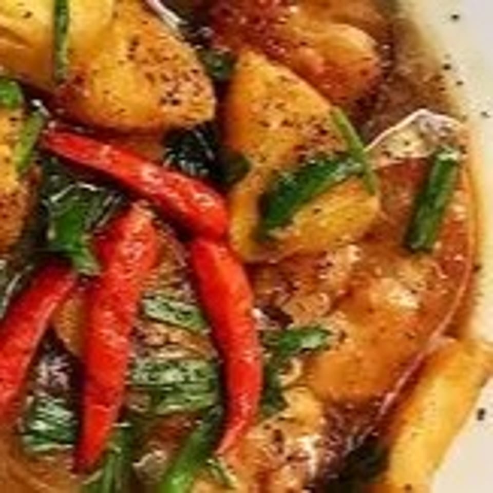 Savor Our Fish Dishes